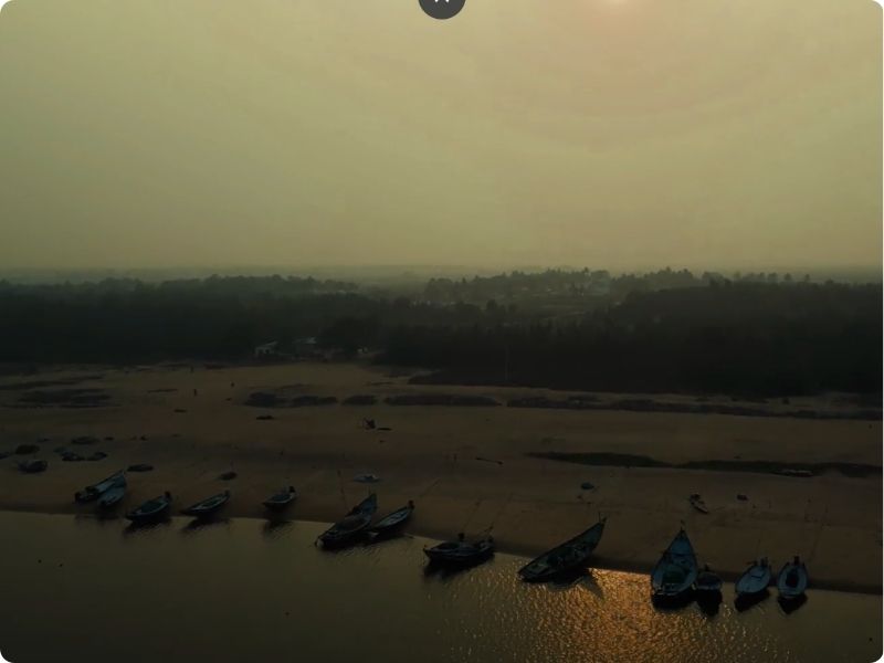 The Rivers Legacy: Turtle Conservation at Rishikulya, Odisha