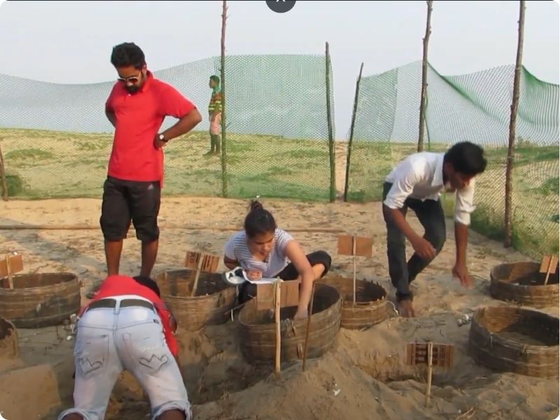 The Rivers Legacy: Turtle Conservation at Rishikulya, Odisha